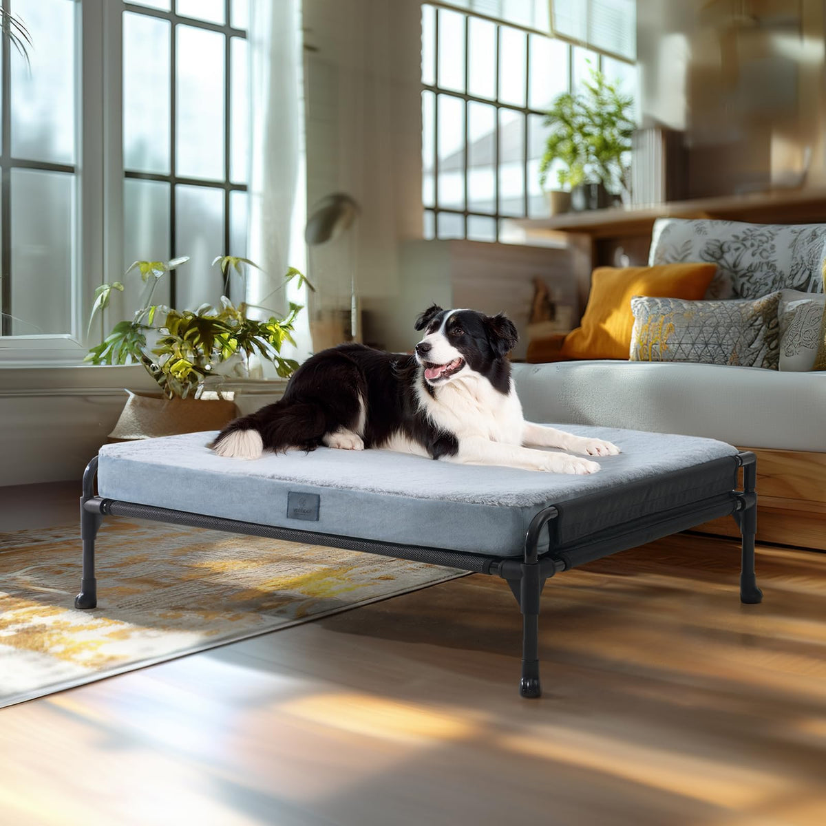 Veehoo Cool Air Elevated Dog Cot